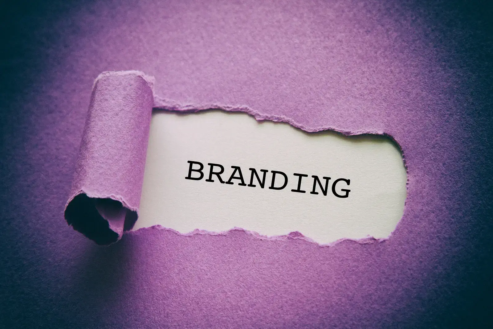 The Most Recognisable Brands in 2025: What Drives Their Global Success?